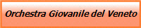 Orchestra Giovanile del Veneto